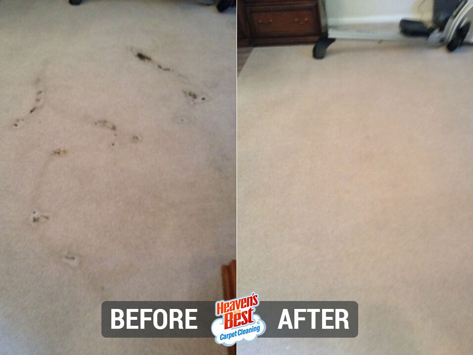 Heaven's Best Carpet Cleaning of the Poconos